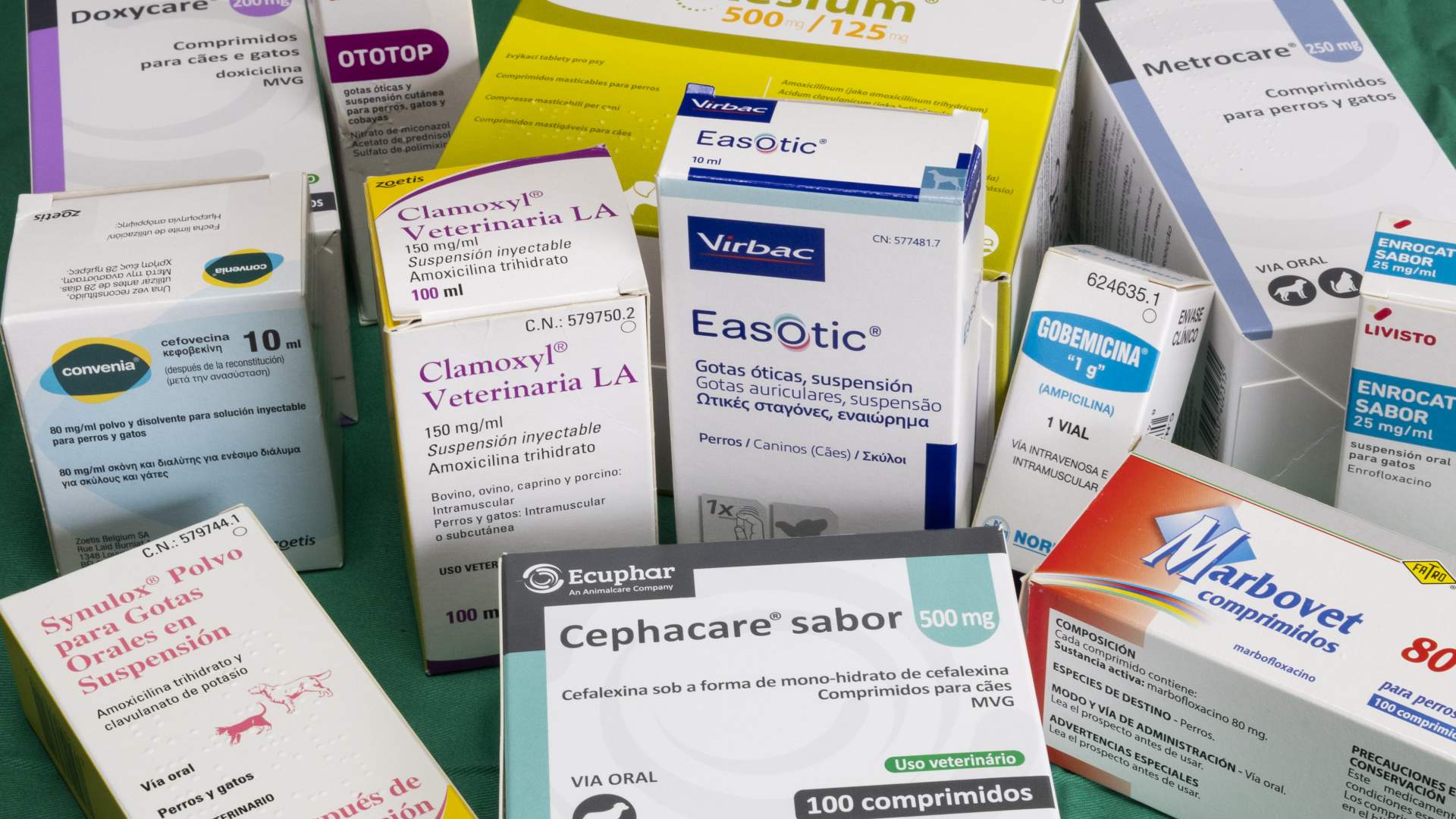 El COVIB publica el Manuel del Medicamento Veterinario