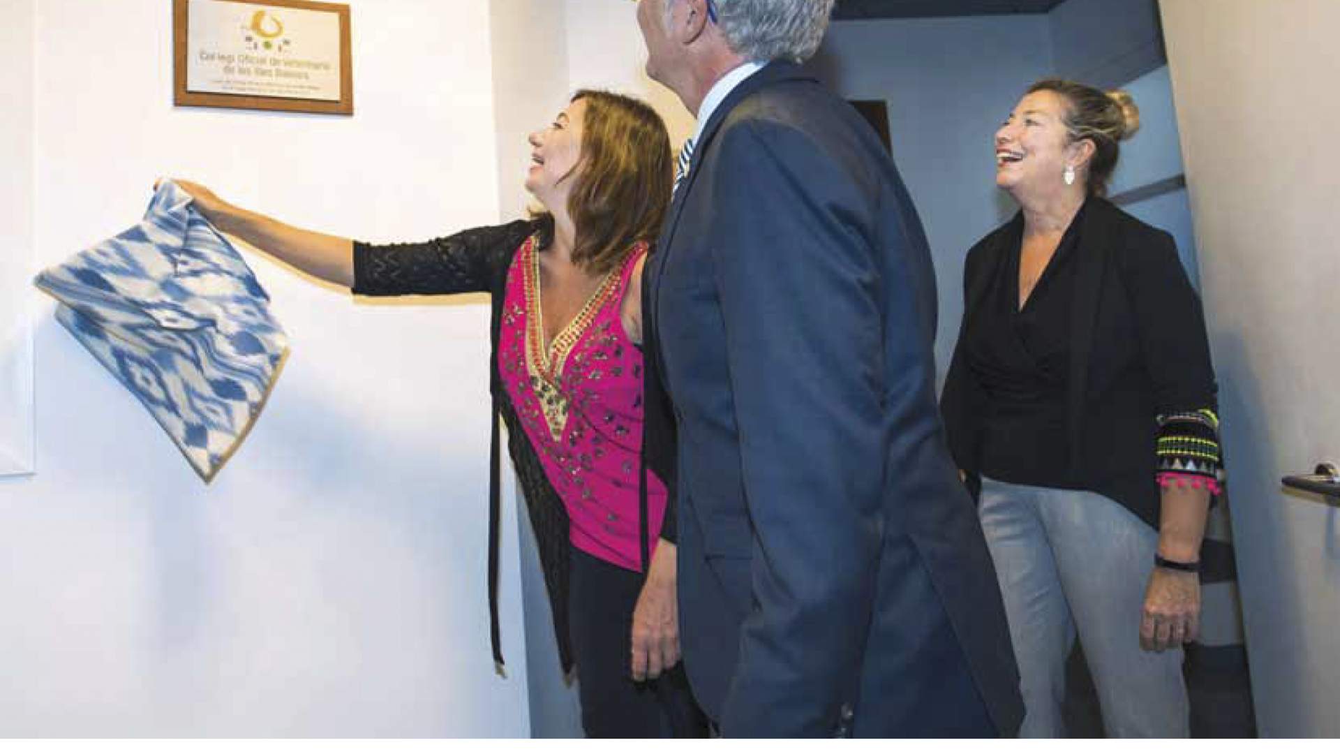 La revista 74 del COVIB, en breve en la calle