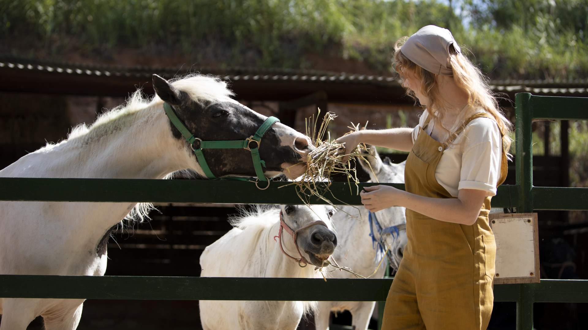 Microcredencial Universitaria en Nutrición y Bienestar del Caballo