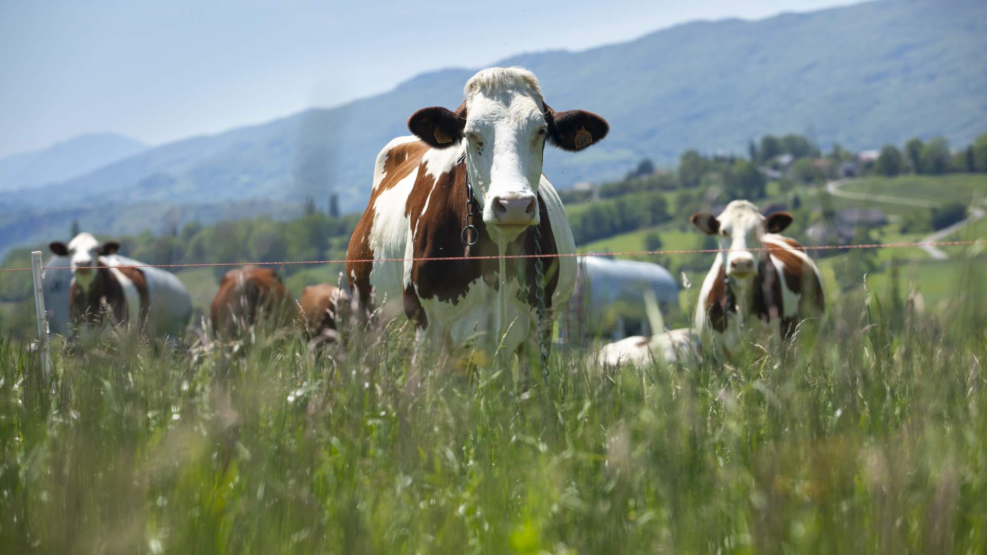 Tuberculosis de actualización unificado