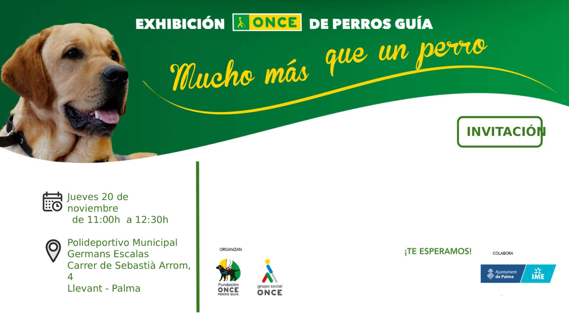 Exhibición de Perros Guía