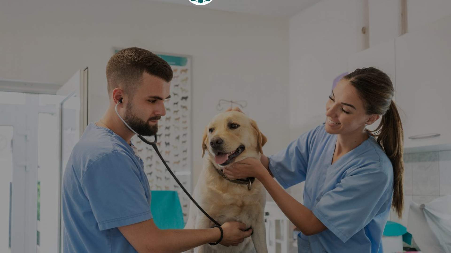 Especialización Veterinaria OCV