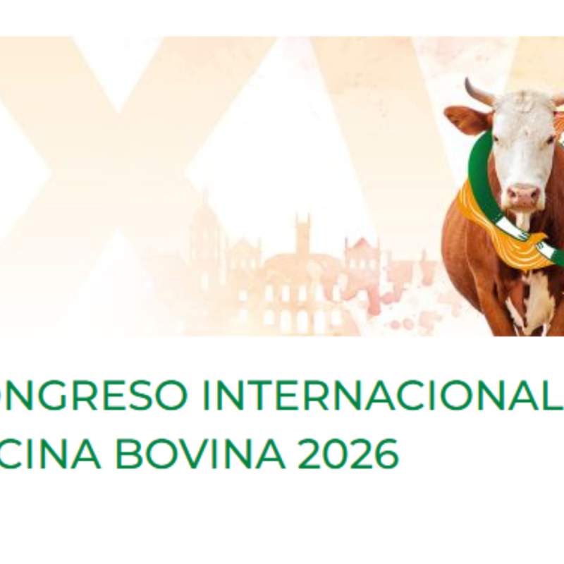 Presentación trabajos clínicos para el XXVIII Congreso