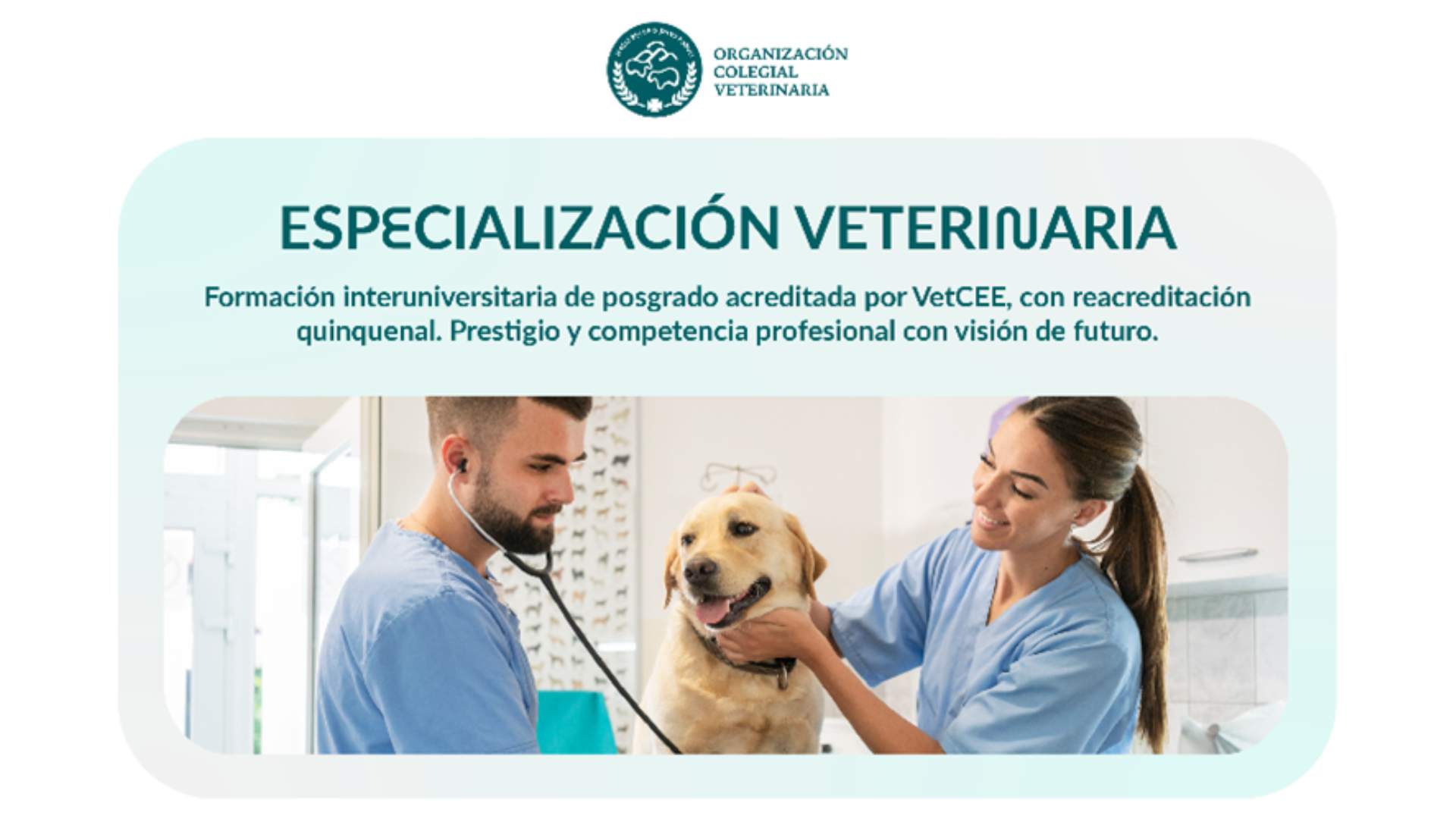 Jornada informativa: proyecto de especialización veterinaria del consejo general de veterinarios (OCV)