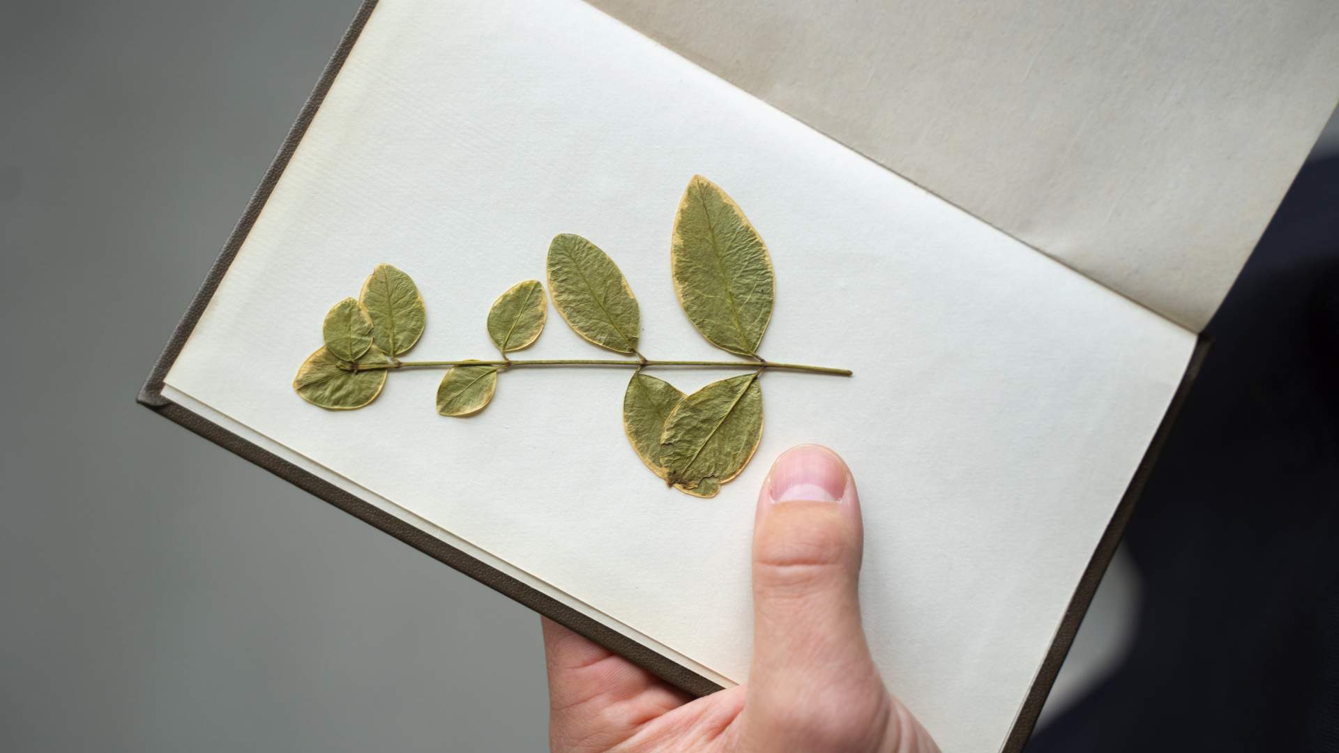 Fundamentos de la gestión holística