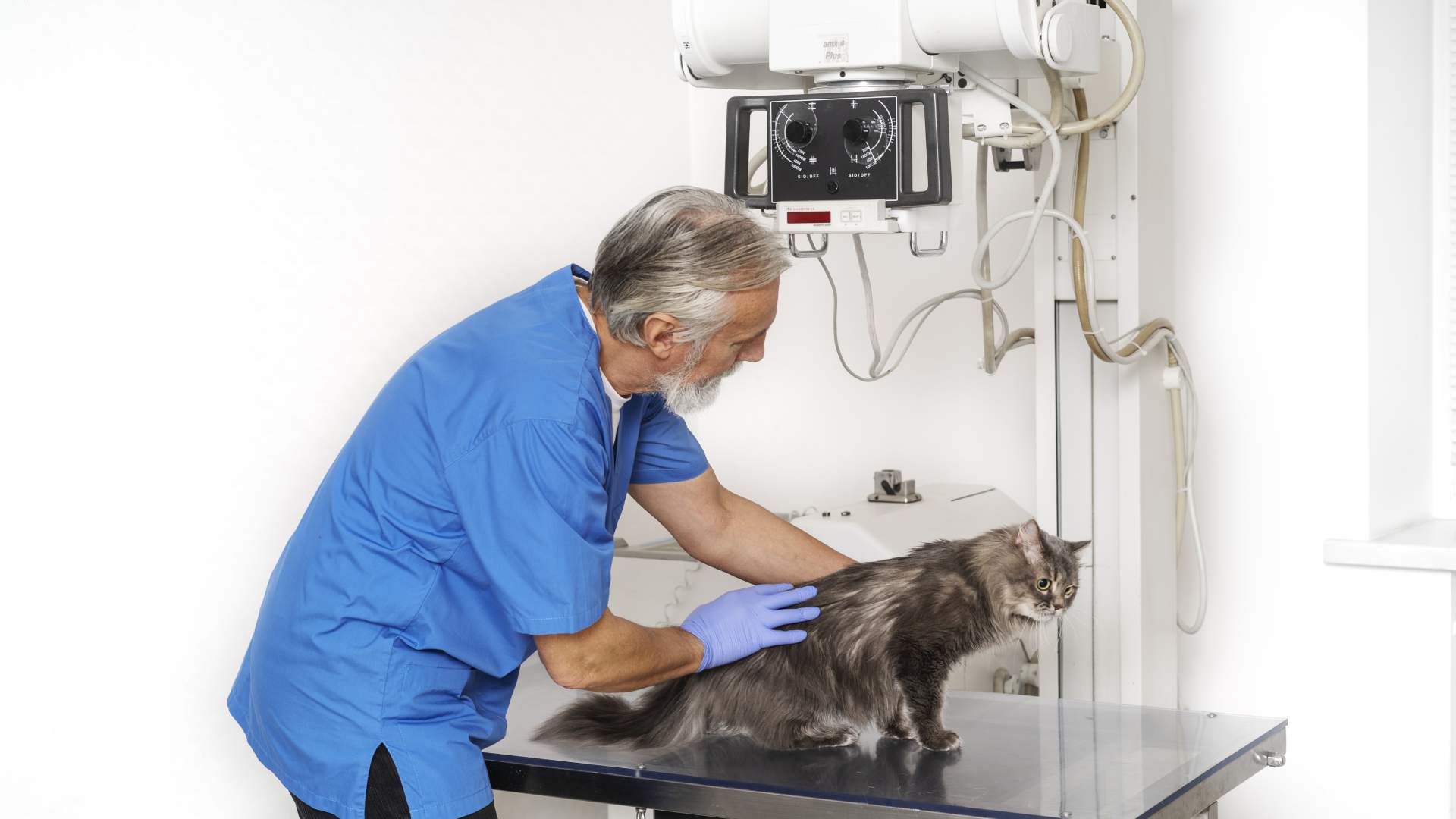 Curso de acreditación de directores de instalaciones de radiodiagnóstico (ACPRO)