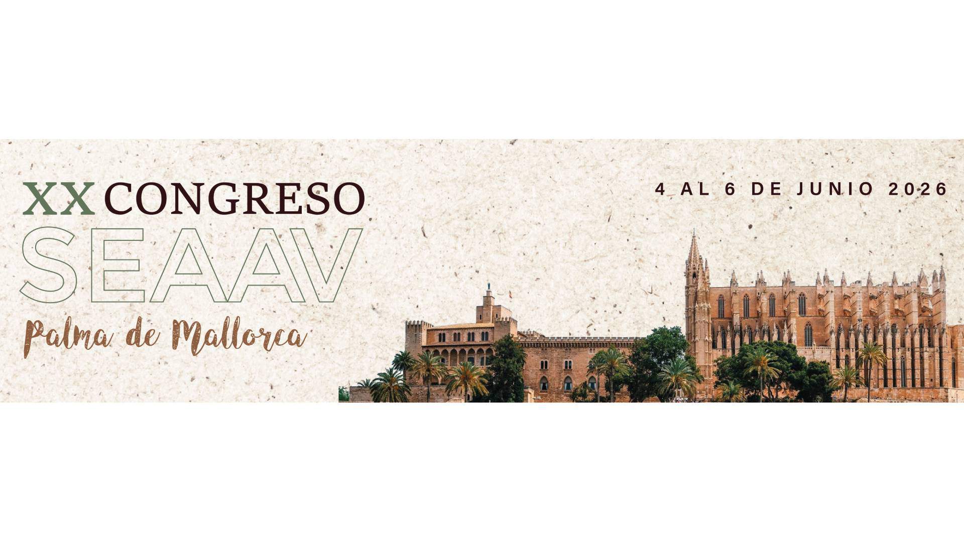 XX Congreso SEAAV
