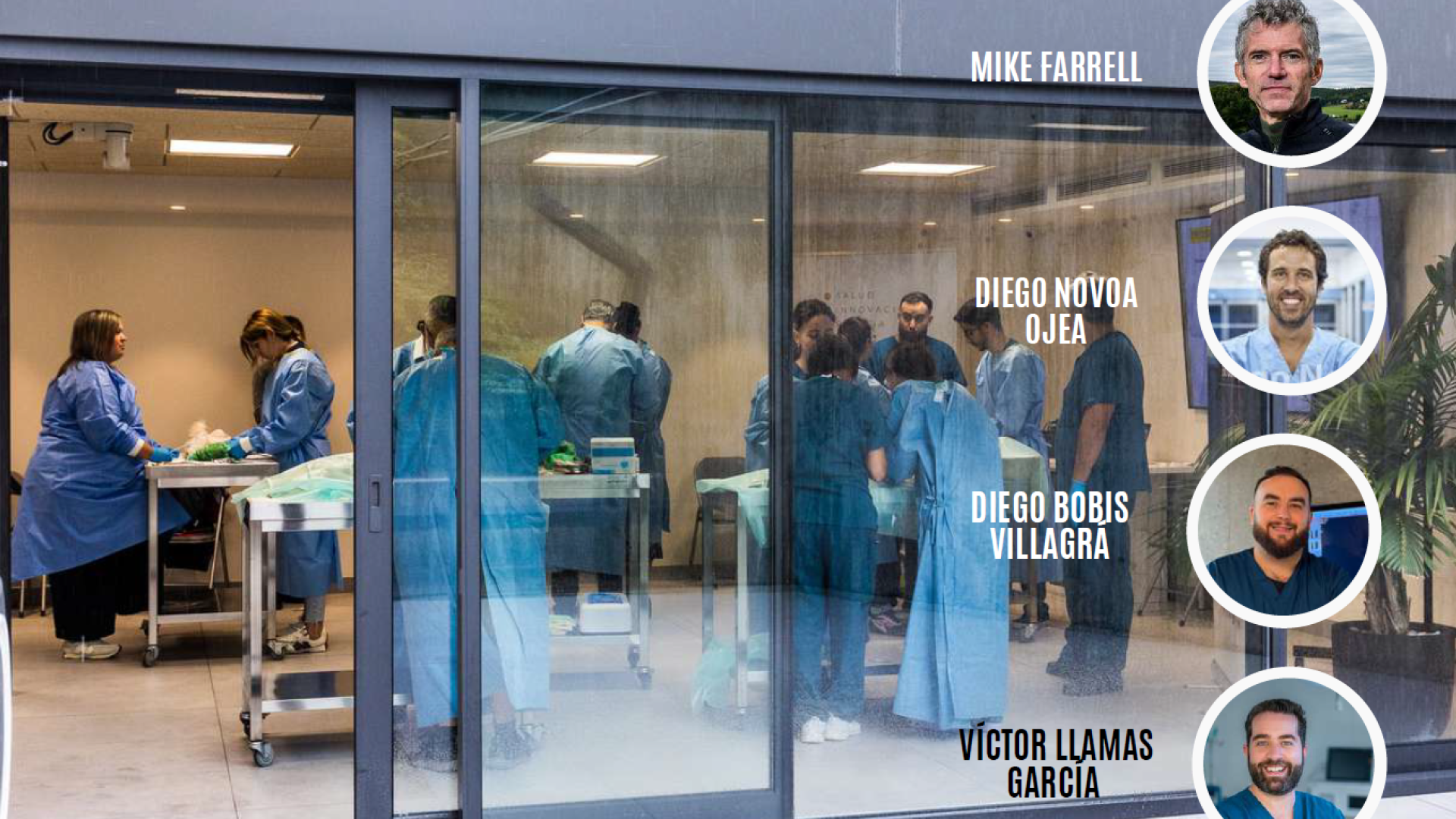 Curso avanzado de traumatología veterinaria