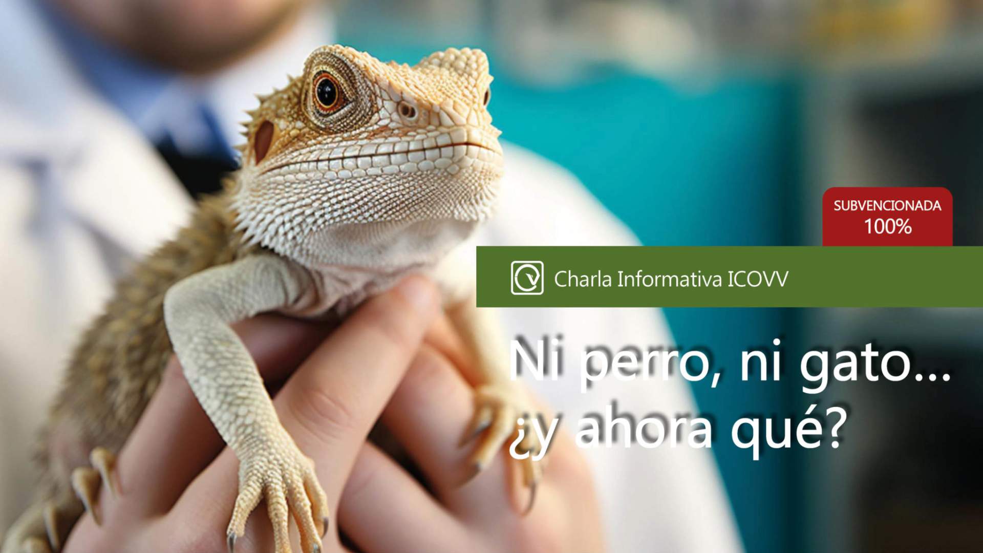 Ni perro, ni gato, ni hurón... ¿y ahora qué?