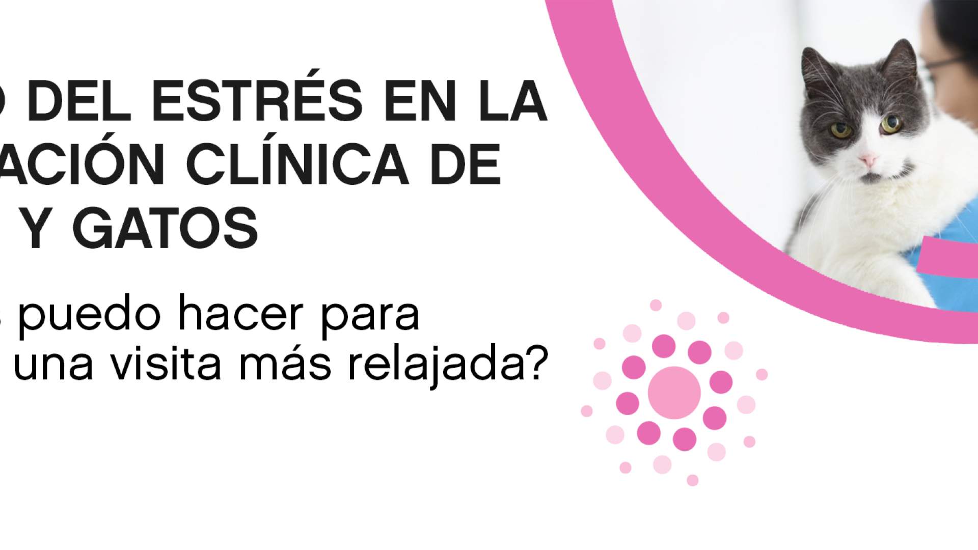 Maneig de l'estrès en l'exploració clínica de gossos i gats