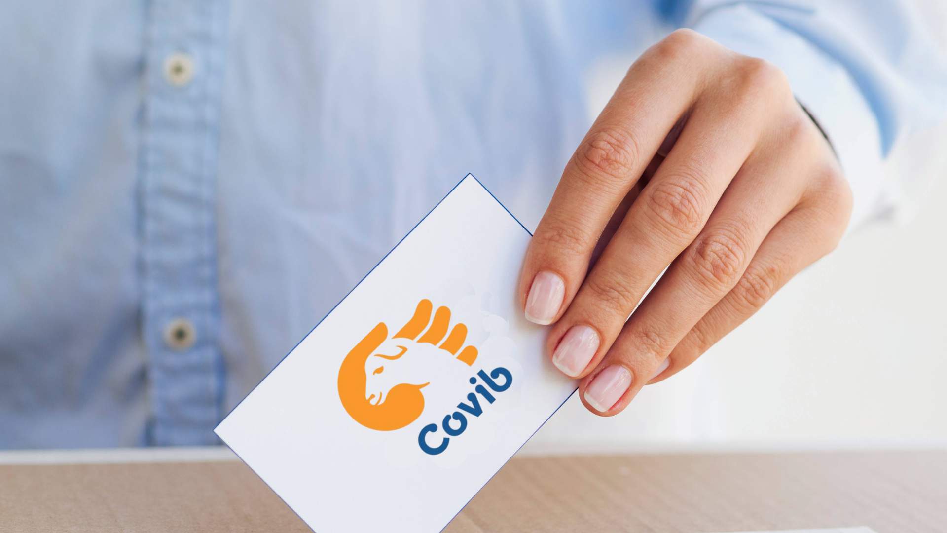 El COVIB convoca eleccions a la Junta de Govern