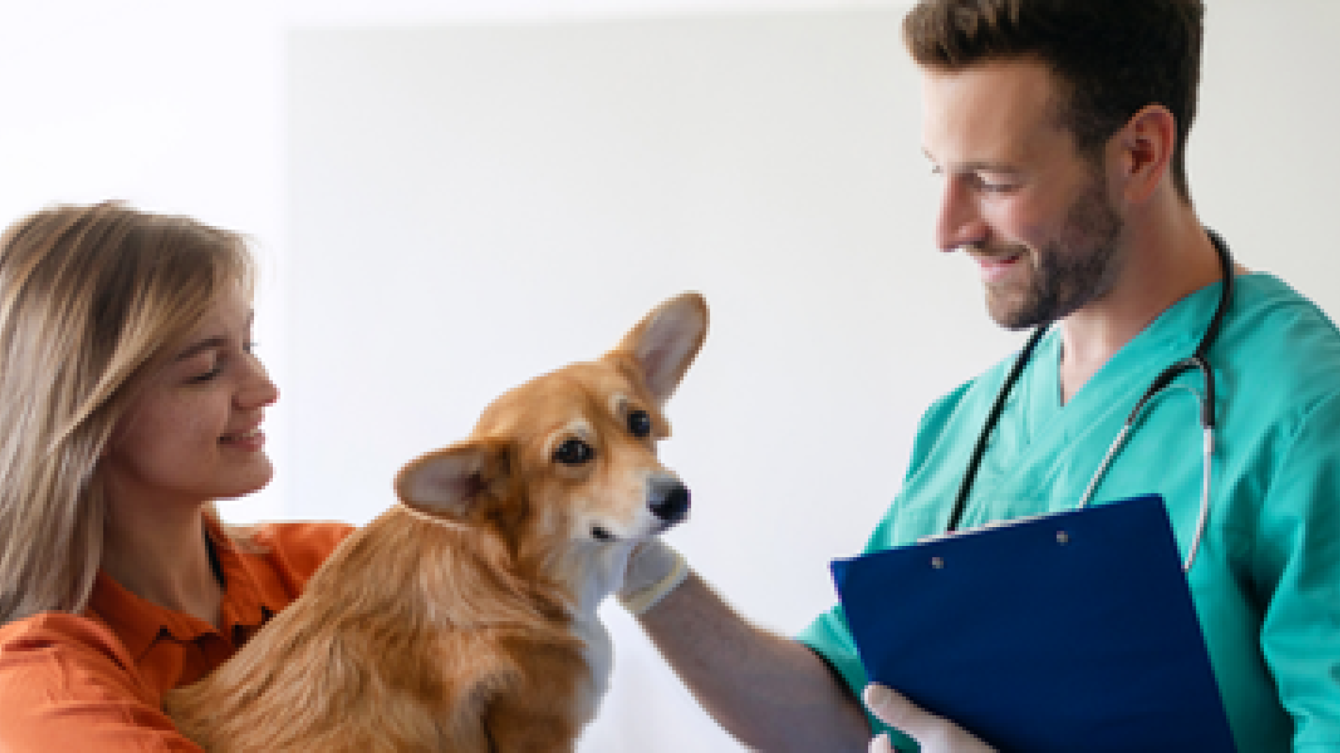 Del conflicte a la confiança: habilitats essencials en l'atenció veterinària, per a generar confiança i evitar el conflicte