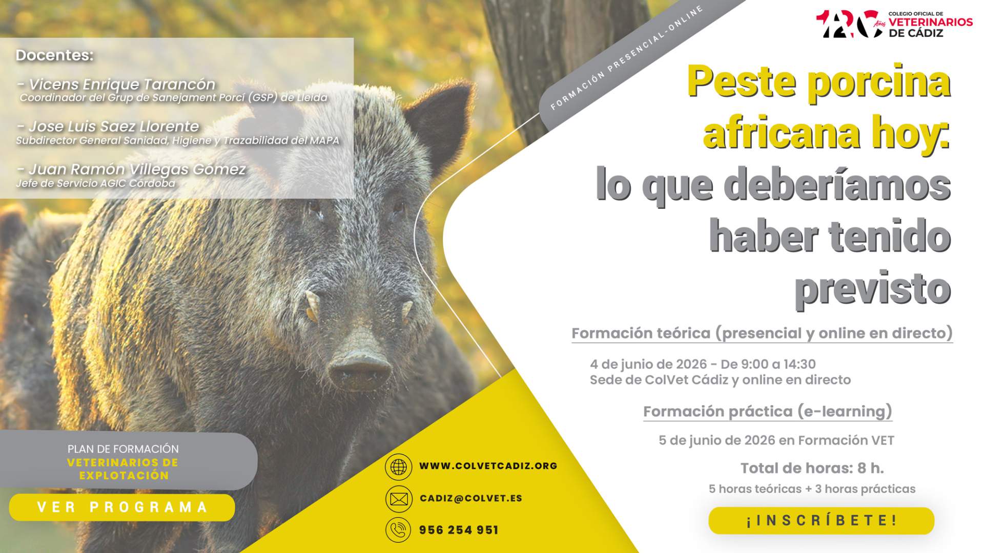 Pesta porcina africana avui: el que hauríem d'haver tingut previst